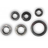 Сальник двигателя 70cc к-кт 6шт (18,9*30*5; 13,7*24*5; 11,6*24*10; 17*29*5; 12*21*4; 30*42*4,5)